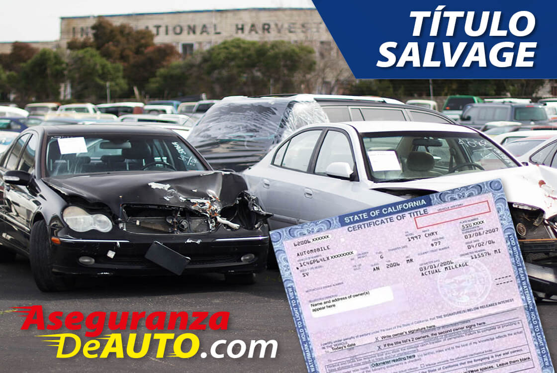 Salvage DMV. DMV Registration. Auto Salvage. Servicio DMV.