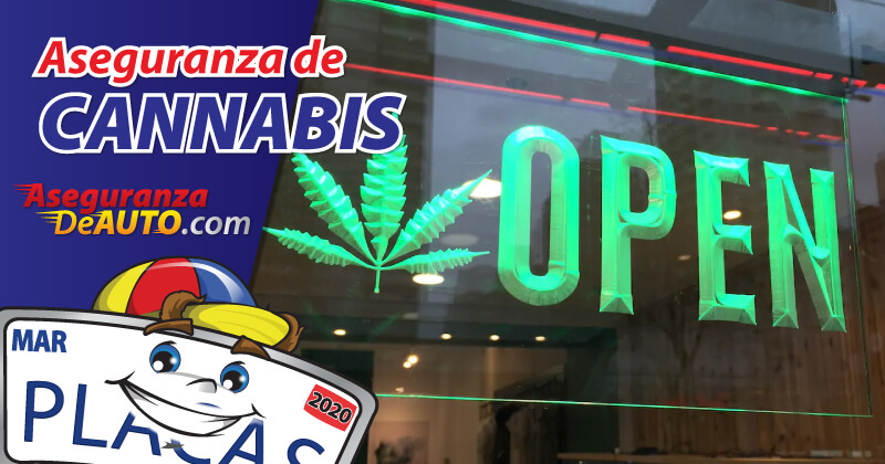 Necesitas una aseguranza para cannabis
